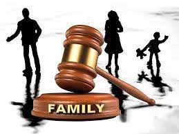 Family Case Law